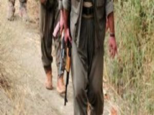 Bingöl'de eylem hazırlığı yapan 9 PKK'lı yakalandı