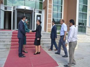 VALİ YARDIMCISI ÖZDEMİR, AİLE VE SOSYAL POLİTİKALAR İL MÜDÜRLÜĞÜ’NÜ ZİYARET ETTİ