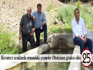 Kavurucu sıcaklarda ormandaki çeşmeler Oltuluların gözdesi oldu