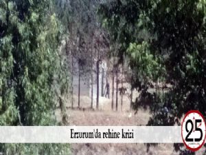 Erzurum'da rehine krizi