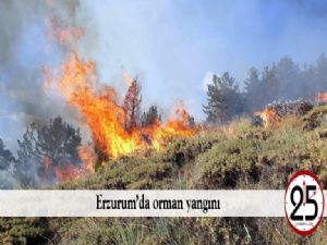 Erzurum'da orman yangını