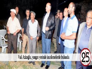 Vali Azizoğlu, yangın yerinde incelemelerde bulundu