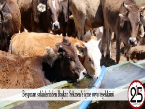 Beypınarı sakinlerinden Başkan Sekmen'e içme suyu teşekkürü