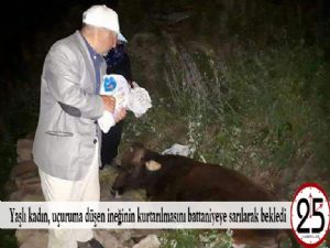 Yaşlı kadın, uçuruma düşen ineğinin kurtarılmasını battaniyeye sarılarak bekledi