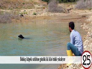 Balıkçı köpek sahibine günlük iki kilo balık yakalıyor