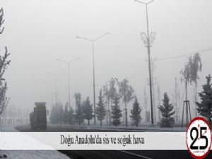 Doğu Anadolu'da sis ve soğuk hava