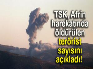 TSK: Zeytin Dalı Harekâtı'nda 790 terörist etkisiz hâle getirildi