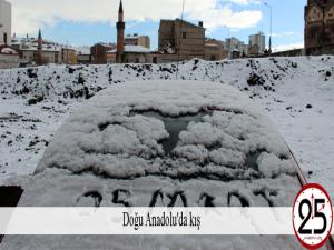 Doğu Anadolu'da kış
