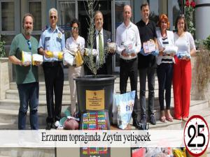 Erzurum toprağında Zeytin yetişecek