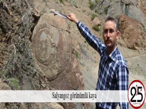 Salyangoz görünümlü kaya