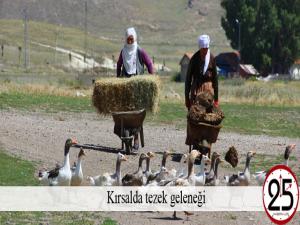 Kırsalda tezek geleneği