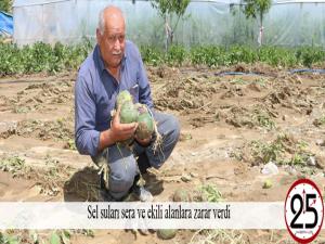 Sel suları sera ve ekili alanlara zarar verdi