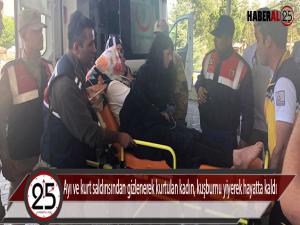Ayı ve kurt saldırısından gizlenerek kurtulan kadın, kuşburnu yiyerek hayatta kaldı