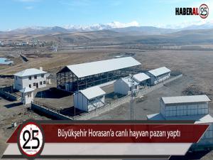 Büyükşehir Horasana canlı hayvan pazarı yaptı