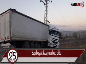 Başı boş At kazaya sebep oldu