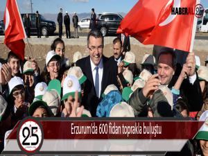 Erzurumda 600 fidan toprakla buluştu