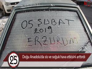 Doğu Anadoluda sis ve soğuk hava etkisini arttırdı