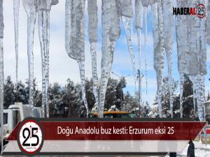 Doğu Anadolu buz kesti: Erzurum eksi 25