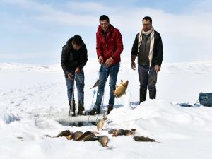 Donan Nazik Gölünde Eskimo usulü balık avı