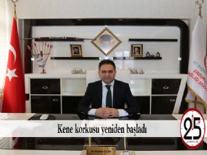 Kene korkusu yeniden başladı
