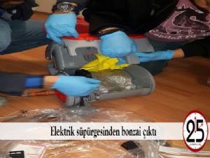Elektrik süpürgesinden bonzai çıktı