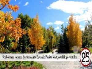 Sonbaharın sarısına bürünen Ata Botonik Parkta kartpostallık görüntüler