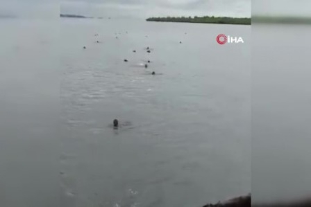 Sierra Leone'de feribot kazası: 3 ölü