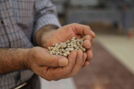 'Orman ürünleri ziyan olmasın' diye pelet fabrikası kurdu