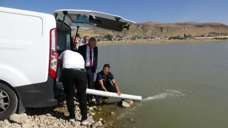 Van’da 1 milyon balık göllere bırakıldı