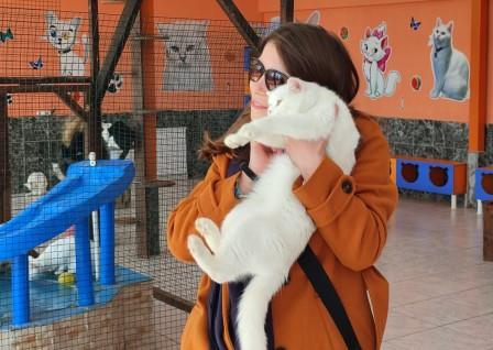 Yerli ve yabancı turistlerden Van kedilerine ilgi
