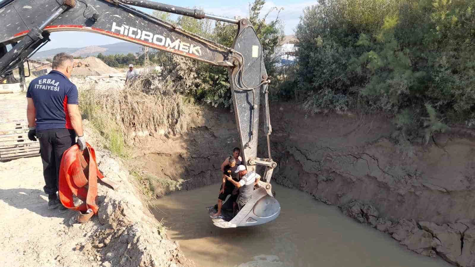 Gölete düşen inekler kepçe ile kurtarıldı