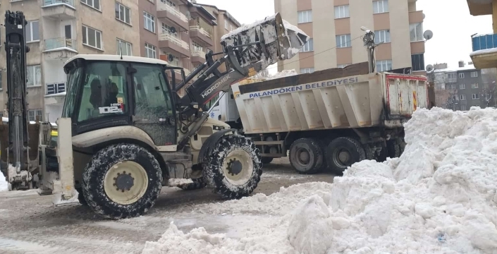 Erzurum'da günde yüzlerce kamyon kar, şehir dışına taşınıyor