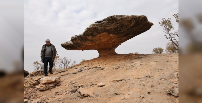 Diyarbakır’da buzul çağ kalıntısı: Tam 6 milyon yıl önceye ait