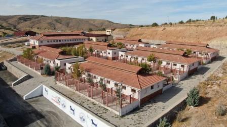 Geçici Hayvan Bakımevi Rehabilitasyon Merkezi’nde 5 yılda 8 bin hayvan tedavi edildi