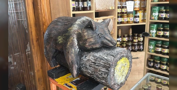 Viral olan ayı, satışları katladı: Balcı dükkanının başköşesine ’bayılan ayı’ dekoru yerleşti